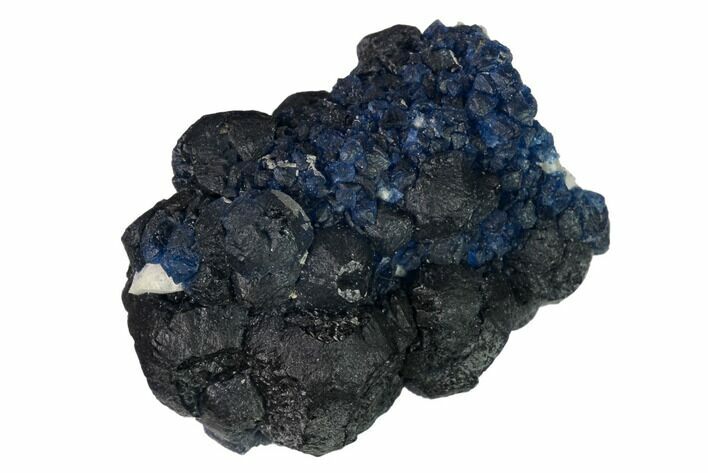 Dark Blue Fluorite Encrusted Quartz Crystal - Inner Mongolia #146658